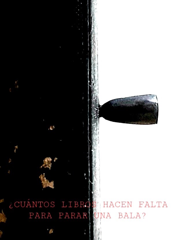 Imagen de una bala atravesando un libro.
